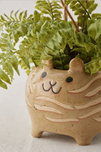 Load image into Gallery viewer, Happy Cat Planter
