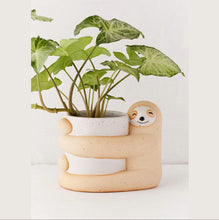 Load image into Gallery viewer, Sloth Planter for Pothos
