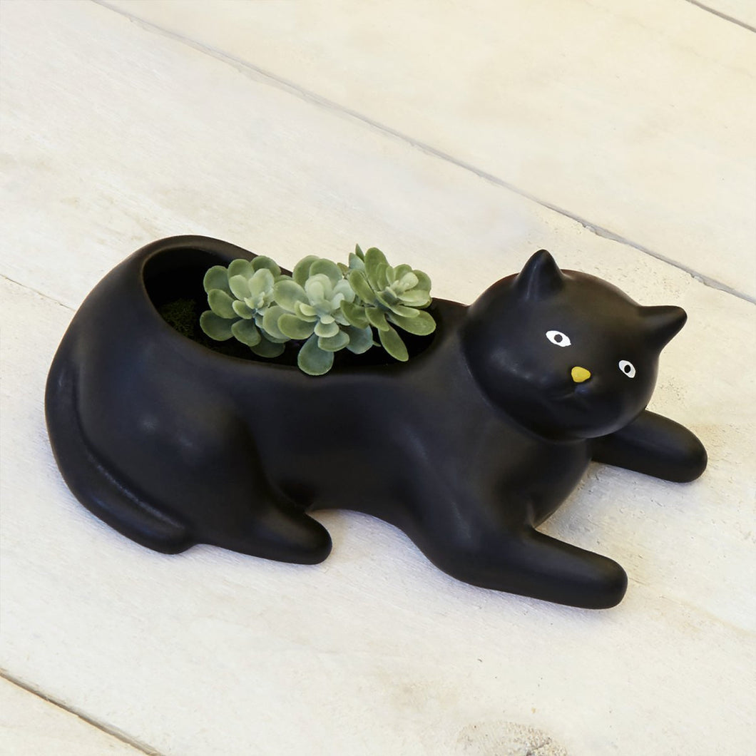 Cosmo the Cat Black Cat Planter Pot for Succulents, Cactus or Air plants!