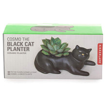 Load image into Gallery viewer, Cosmo the Cat Black Cat Planter Pot for Succulents, Cactus or Air plants!
