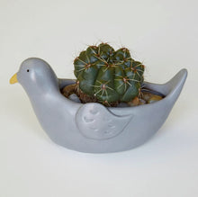 Load image into Gallery viewer, Kikkerland Bird Planter Face Pot for Succulents, Cactus , Spanish Moss &amp; Flowers, Pigeon Planter Pot
