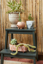 Load image into Gallery viewer, Terracotta Hedgehog Animal Face Planter for Succulents &amp; Plants
