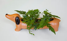 Load image into Gallery viewer, Dachshund Ceramic Dog Planter
