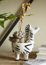 Load image into Gallery viewer, Untamed Zebra Planter
