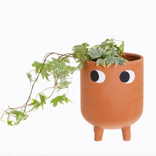 Load image into Gallery viewer, Large Googly Eyes Standing Face Planter Pot
