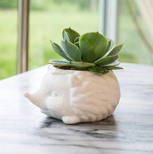 Load image into Gallery viewer, Hedgehog Indoor Ceramic Planter Pot | Animal Planter Pot for Succulents, Air Plants &amp; Plants.
