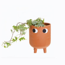 Load image into Gallery viewer, Large Googly Eyes Standing Face Planter Pot
