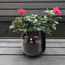 Load image into Gallery viewer, Cat Planter Pot With Ears &amp; Whiskers for Succulents, Flowers, Herbs or Plants
