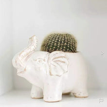 Load image into Gallery viewer, Elephant Planter Pot with a Raised Trunk for Succulents, Plants &amp; Flowers
