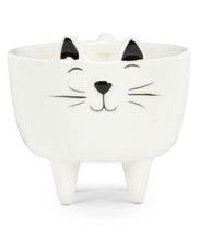 Load image into Gallery viewer, Cutest Cat Planter

