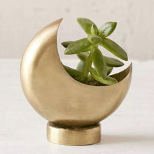 Load image into Gallery viewer, Metal Moon Planter
